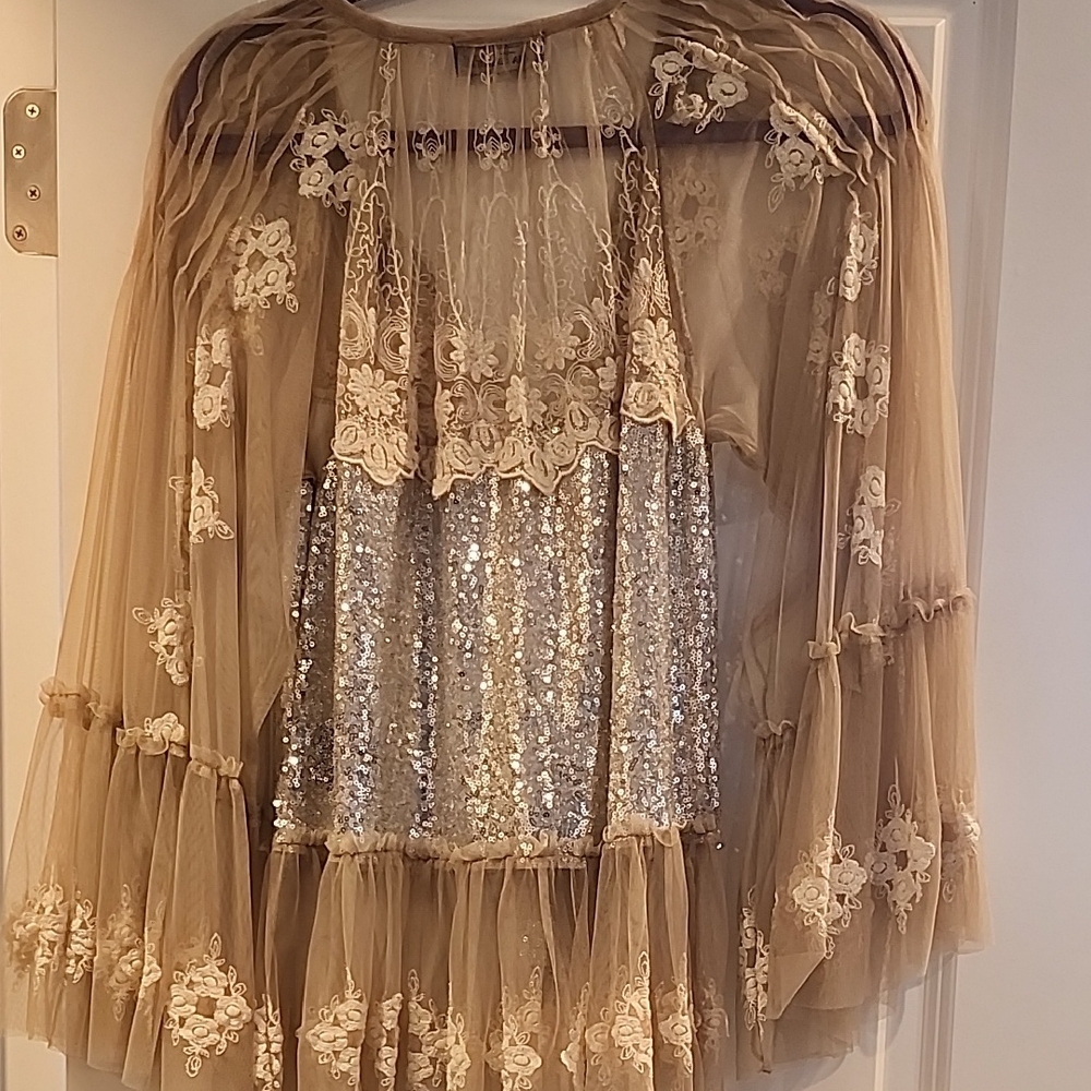 Anthropologie Sheer Lace & Sequin Beige/Taupe Blouse - Picture 5 of 7